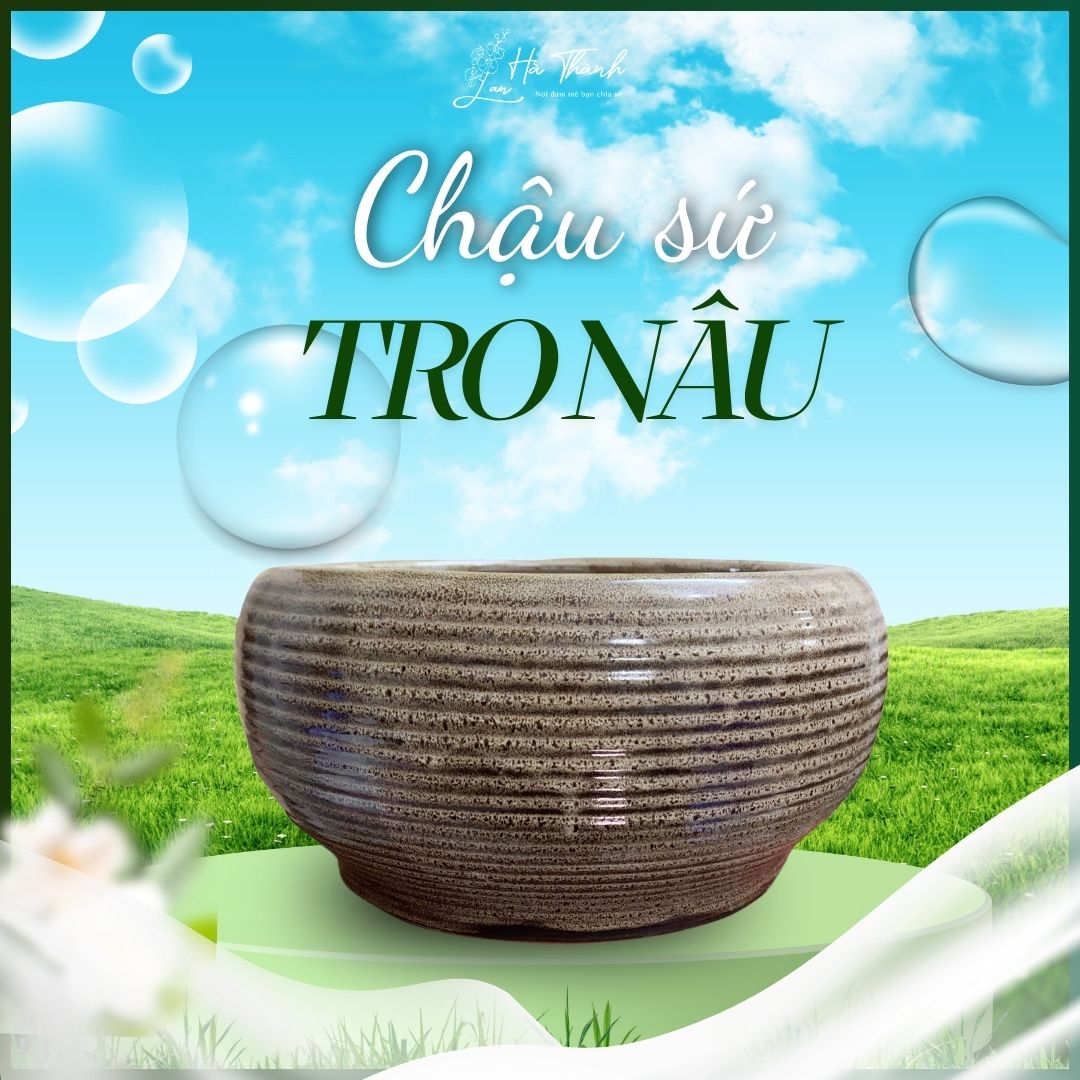 Chậu Sứ Tro Nâu